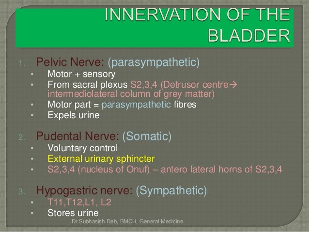 Bladder dysfunction in different neurological diseases