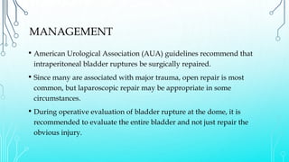 MANAGEMENT
• American Urological Association (AUA) guidelines recommend that
intraperitoneal bladder ruptures be surgically repaired.
• Since many are associated with major trauma, open repair is most
common, but laparoscopic repair may be appropriate in some
circumstances.
• During operative evaluation of bladder rupture at the dome, it is
recommended to evaluate the entire bladder and not just repair the
obvious injury.
 