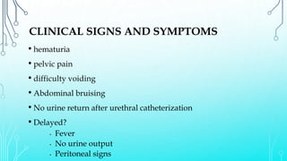 CLINICAL SIGNS AND SYMPTOMS
• hematuria
• pelvic pain
• difficulty voiding
• Abdominal bruising
• No urine return after urethral catheterization
• Delayed?
• Fever
• No urine output
• Peritoneal signs
 
