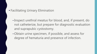 • Facilitating Urinary Elimination
–Inspect urethral meatus for blood, and, if present, do
not catheterize, but prepare for diagnostic evaluation
and suprapubic cystostomy.
–Obtain urine specimen, if possible, and assess for
degree of hematuria and presence of infection.
 