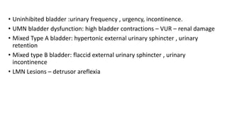 Bladder innervation | PPTX