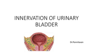 INNERVATION OF URINARY
BLADDER
Dr.Ponnilavan
 