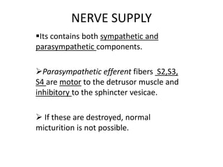 NERVE SUPPLY
Its contains both sympathetic and
parasympathetic components.
Parasympathetic efferent fibers S2,S3,
S4 are motor to the detrusor muscle and
inhibitory to the sphincter vesicae.
 If these are destroyed, normal
micturition is not possible.
 