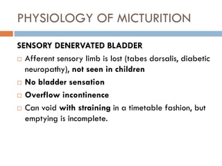 PHYSIOLOGY OF MICTURITION
SENSORY DENERVATED BLADDER
 Afferent sensory limb is lost (tabes dorsalis, diabetic
neuropathy)...