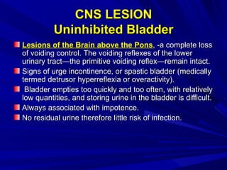 CNS LESION Uninhibited Bladder <ul><li>Lesions of the Brain above the Pons , -a complete loss of voiding control. The void...