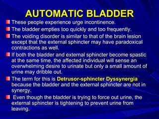 AUTOMATIC BLADDER <ul><li>These people experience urge incontinence.  </li></ul><ul><li>The bladder empties too quickly an...