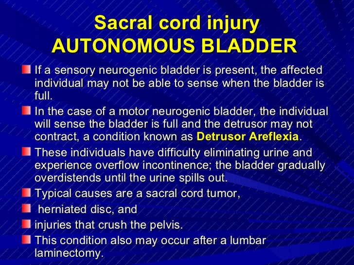 Bladder involvement in spine disorders