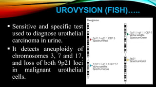 UROVYSION (FISH)…..
 Sensitive and specific test
used to diagnose urothelial
carcinoma in urine.
 It detects aneuploidy of
chromosomes 3, 7 and 17,
and loss of both 9p21 loci
in malignant urothelial
cells.
 