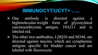 IMMUNOCYT/UCYT+ …..
 One antibody is directed against a
highmolecular-weight form of glycosylated
carcinoembryonic antigen, 19A211 and is
labeled red.
 The other two antibodies, LDQ10 and M344, are
directed against mucins, which are cytoplasmic
antigens specific for bladder cancer and are
labeled with fluorescein.
 