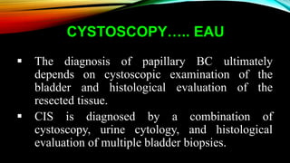 CYSTOSCOPY….. EAU
 The diagnosis of papillary BC ultimately
depends on cystoscopic examination of the
bladder and histological evaluation of the
resected tissue.
 CIS is diagnosed by a combination of
cystoscopy, urine cytology, and histological
evaluation of multiple bladder biopsies.
 