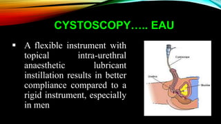CYSTOSCOPY….. EAU
 A flexible instrument with
topical intra-urethral
anaesthetic lubricant
instillation results in better
compliance compared to a
rigid instrument, especially
in men
 