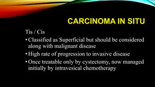 CARCINOMA IN SITU
Tis / Cis
•Classified as Superficial but should be considered
along with malignant disease
•High rate of progression to invasive disease
•Once treatable only by cystectomy, now managed
initially by intravesical chemotherapy
 