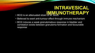 INTRAVESICAL
IMMUNOTHERAPY• BCG is an attenuated strain of M. bovis
• Believed to exert anti-tumour effect through immune mechanism
• BCG induces a weak granulomatous response in bladder and
correlation exists between granuloma formation and favourable
response
 