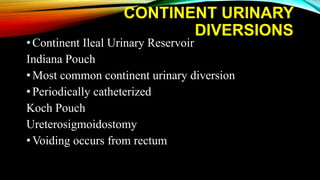 CONTINENT URINARY
DIVERSIONS
•Continent Ileal Urinary Reservoir
Indiana Pouch
•Most common continent urinary diversion
•Periodically catheterized
Koch Pouch
Ureterosigmoidostomy
•Voiding occurs from rectum
 