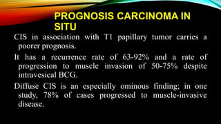 PROGNOSIS CARCINOMA IN
SITU
CIS in association with T1 papillary tumor carries a
poorer prognosis.
It has a recurrence rate of 63-92% and a rate of
progression to muscle invasion of 50-75% despite
intravesical BCG.
Diffuse CIS is an especially ominous finding; in one
study, 78% of cases progressed to muscle-invasive
disease.
 