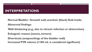 Urinary Bladder presentation_ 12345_ppt_ | PPTX