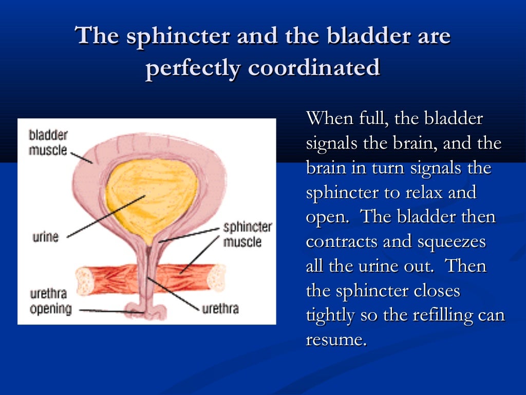 Bladder Retraining