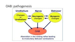 Bladder sedatives mirabegron vs antimuscarinics in overactive bladder ...