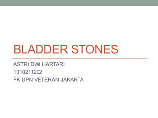 BLADDER STONES
ASTRI DWI HARTARI
1310211202
FK UPN VETERAN JAKARTA
 