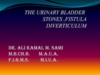 THE URINARY BLADDER
            STONES ,FISTULA
             DIVERTICULUM


Dr. Ali Kamal M. Sami
M.B.Ch.B.  M.A.U.A.
F.I.B.M.S.  M.I.U.A.
 
