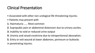 Clinical Presentation
• Associated with other non urological life threatening injuries.
• Patients may present with
1. Haematuria ..... Most common
2. Suprapubic pain or abdominal distension due to urinary ascites.
3. Inability to void or reduced urine output
4. Uremia and raised creatinine due to intraperitoneal absorption.
5. Entry or exit wound at lower abdomen, perineum or buttocks
in penetrating injuries.
 