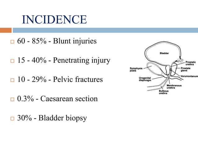 bladder trauma.ppt | Death, Injury, or Military Conflict | Sensitive Topics