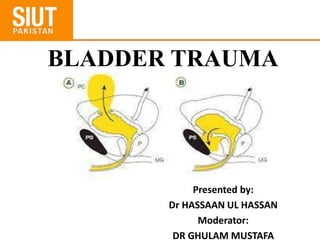 BLADDER TRAUMA
Presented by:
Dr HASSAAN UL HASSAN
Moderator:
DR GHULAM MUSTAFA
 