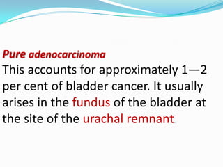 Pure adenocarcinoma
This accounts for approximately 1—2
per cent of bladder cancer. It usually
arises in the fundus of the bladder at
the site of the urachal remnant.
 