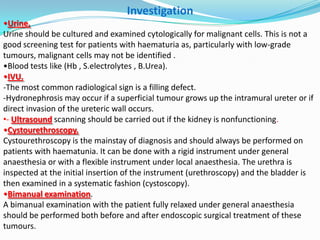 Investigation
•Urine.
Urine should be cultured and examined cytologically for malignant cells. This is not a
good screening test for patients with haematuria as, particularly with low-grade
tumours, malignant cells may not be identified .
•Blood tests like (Hb , S.electrolytes , B.Urea).
•IVU.
-The most common radiological sign is a filling defect.
-Hydronephrosis may occur if a superficial tumour grows up the intramural ureter or if
direct invasion of the ureteric wall occurs.
•- Ultrasound scanning should be carried out if the kidney is nonfunctioning.
•Cystourethroscopy.
Cystourethroscopy is the mainstay of diagnosis and should always be performed on
patients with haematunia. It can be done with a rigid instrument under general
anaesthesia or with a flexible instrument under local anaesthesia. The urethra is
inspected at the initial insertion of the instrument (urethroscopy) and the bladder is
then examined in a systematic fashion (cystoscopy).
•Bimanual examination.
A bimanual examination with the patient fully relaxed under general anaesthesia
should be performed both before and after endoscopic surgical treatment of these
tumours.
 