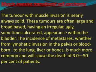 Muscle invasive transitional cell carcinoma

The tumour with muscle invasion is nearly
always solid. These tumours are often large and
broad based, having an irregular, ugly,
sometimes ulcerated, appearance within the
bladder. The incidence of metastases, whether
from lymphatic invasion in the pelvis or blood-
born to the lung, liver or bones, is much more
common and will cause the death of 3 0—50
per cent of patients.
 