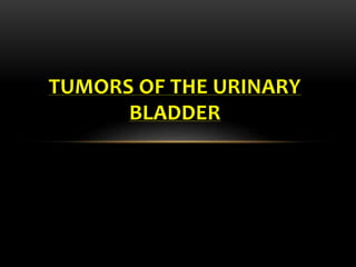 TUMORS OF THE URINARY
BLADDER
 