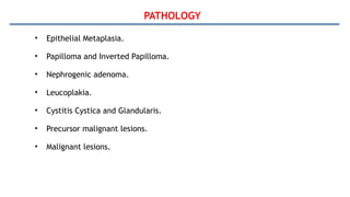 PATHOLOGY
• Epithelial Metaplasia.
• Papilloma and Inverted Papilloma.
• Nephrogenic adenoma.
• Leucoplakia.
• Cystitis Cystica and Glandularis.
• Precursor malignant lesions.
• Malignant lesions.
 