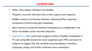 LEUKOPLAKIA
• White, flaky plaques floating in the bladder.
• Frequent, recurrent infections with urinary urgency and frequency.
• Bladder mucosa is chronically inflamed, displaying diffuse squamous
metaplasia of keratinizing type leukoplakia.
• More recently a connection between leukoplakia as an independent risk
factor for bladder cancer has been disproven.
• Staack et al. (2006) performed cytogenic studies of bladder leukoplakia in
77 cases using DNA analysis for tumor suppressor gene TP52 and found no
evidence to suggest that this condition was premalignant; therefore
cystoscopy, biopsy, and further treatment were unnecessary.
 