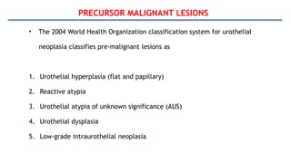 PRECURSOR MALIGNANT LESIONS
• The 2004 World Health Organization classification system for urothelial
neoplasia classifies pre-malignant lesions as
1. Urothelial hyperplasia (flat and papillary)
2. Reactive atypia
3. Urothelial atypia of unknown significance (AUS)
4. Urothelial dysplasia
5. Low-grade intraurothelial neoplasia
 
