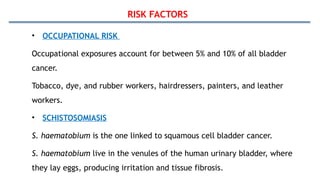 RISK FACTORS
• OCCUPATIONAL RISK
Occupational exposures account for between 5% and 10% of all bladder
cancer.
Tobacco, dye, and rubber workers, hairdressers, painters, and leather
workers.
• SCHISTOSOMIASIS
S. haematobium is the one linked to squamous cell bladder cancer.
S. haematobium live in the venules of the human urinary bladder, where
they lay eggs, producing irritation and tissue fibrosis.
 