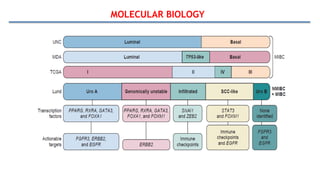 MOLECULAR BIOLOGY
 