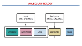 MOLECULAR BIOLOGY
 