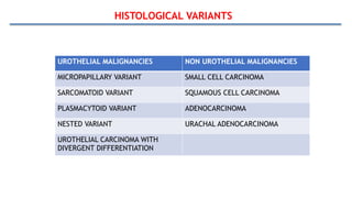 HISTOLOGICAL VARIANTS
UROTHELIAL MALIGNANCIES NON UROTHELIAL MALIGNANCIES
MICROPAPILLARY VARIANT SMALL CELL CARCINOMA
SARCOMATOID VARIANT SQUAMOUS CELL CARCINOMA
PLASMACYTOID VARIANT ADENOCARCINOMA
NESTED VARIANT URACHAL ADENOCARCINOMA
UROTHELIAL CARCINOMA WITH
DIVERGENT DIFFERENTIATION
 