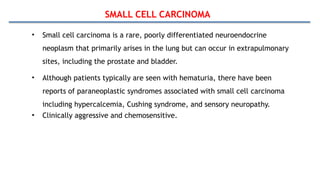 SMALL CELL CARCINOMA
• Small cell carcinoma is a rare, poorly differentiated neuroendocrine
neoplasm that primarily arises in the lung but can occur in extrapulmonary
sites, including the prostate and bladder.
• Although patients typically are seen with hematuria, there have been
reports of paraneoplastic syndromes associated with small cell carcinoma
including hypercalcemia, Cushing syndrome, and sensory neuropathy.
• Clinically aggressive and chemosensitive.
 