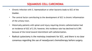 SQUAMOUS CELL CARCINOMA
• Chronic infection with S. haematobium or other bacteria leads to SCC of the
bladder.
• The central factor contributing to the development of SCC is chronic inflammation
of the urinary tract.
• Historically patients with spinal cord injury requiring chronic catheterization had
an incidence of SCC of 2.3%; however, this incidence rate has declined to 0.39%
because of the trend toward intermittent self-catheterization.
• Radical cystectomy is the mainstay treatment for SCC, and there is no clear
consensus regarding the use of neoadjuvant chemotherapy before surgery.
 