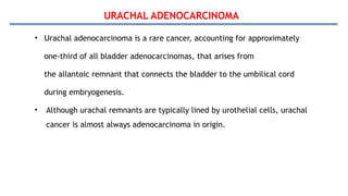 URACHAL ADENOCARCINOMA
• Urachal adenocarcinoma is a rare cancer, accounting for approximately
one-third of all bladder adenocarcinomas, that arises from
the allantoic remnant that connects the bladder to the umbilical cord
during embryogenesis.
• Although urachal remnants are typically lined by urothelial cells, urachal
cancer is almost always adenocarcinoma in origin.
 