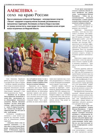 24 | РОССИЙСКИЕ СЕЛА. АМУРСКАЯ ОБЛАСТЬ	 АПРЕЛЬ №02/2016
Алексеевка –
село на краю России
Одна из уникальных особенностей Приамурья – непосредственное соседство
с Китаем - определяет и характер многих поселений, расположенных на
приграничных территориях. Поселившись на берегах Амура и выставив
на границе казачьи посты, наши предки тем самым положили начало истории
малых пограничных сел Амурской области.
Село Алексеевка Бурейского
района как раз из тех, что находят-
ся на краю России. Сразу за Амуром
– Китайская народная республика.
Но не только это является визитной
карточкой Алексеевского сельсове-
та. Именно здесь, на его территории,
Амур-батюшка принимает в свои
объятия красавицу-дочь - Бурею.
- Находимся мы на границе
Зейско-Буреинской низменности и
лесной зоны, - рассказывает гла-
ва администрации Алексеевского
сельсовета Николай Музыченко
(на фото). - За селом – Белые горы,
а дальше – вверх по железной доро-
ге – тайга. В сторону Благовещен-
ска – степная зона. За Буреей - Ар-
харинский район. Так что куда ни
кинь – везде граница.
Особенности географического
положения, а также наличие двух
крупных рек, безусловно, сказыва-
ются на климатических условиях
территории.
- Алексеевка стоит в так на-
зываемом «котловане», и у нас
здесь одни из самых низких темпе-
ратур, - поясняет Николай Викто-
рович. - В Райчихинске, например,
который всего в 35 километрах от
нас, на 8 градусов теплее. А у нас и
плодово-ягодные культуры плохо
растут, и овощи не родятся. Разве
только на частных подворьях.
Выращивать сою и зерновые,
в принципе, здесь можно. Правда,
два фермерских хозяйства, которые
раньше работали, по объективным
причинам свернули свою деятель-
ность. Но сейчас на поля Алексеев-
ского сельсовета зашло одно из пер-
спективных предприятий – ООО
«Амурский бизнес». Часть приоб-
ретенных им земель начали обраба-
тывать еще в прошлом году, а часть
пока раскорчевывается и готовится
к посеву. На будущий год планируют
засеять порядка 2 тысяч гектар.
Основной профиль занятости
населения на территории – живот-
новодство. Животноводческое пред-
приятие ООО «Юг» занимается вы-
ращиванием элитных герефордов.
Базируется ферма в селе Асташиха
и насчитывает более 1700 голов ско-
та. Также здесь выращивают австра-
лийских ангусов. Упор делают на
производство мяса.
- В свое время министерство
сельского хозяйства области по-
могло приобрести эти породы
скота, - комментирует Николай
Викторович. – Сейчас они ак-
климатизированы, полностью
адаптированы к нашим суровым
условиям, дают потомство - про-
изводство набирает обороты.
Параллельно предприятие за-
нимается заготовкой кормов: вы-
ращивает сою и кукурузу.
Территория Алексеевского
сельсовета – всего два села: Алек-
сеевка и Асташиха. Села неболь-
шие: в Алексеевке зарегистриро-
вано 329 человек, в Асташихе – 89.
Центральная усадьба – село Алек-
сеевка. Школа, детский сад, три
магазина, дом культуры, ФАП –
практически вся нехитрая инфра-
структура. Школу и детский сад в
прошлом году объединили в одно
учреждение. Всего его посещают
14 дошкольников и 39 ребятишек
школьного возраста, которых из
Асташихи привозит школьный ав-
тобус.
Недостатка в кадрах школа не
испытывает: в этом году даже при-
шлось отказать в приеме на рабо-
ту молодому специалисту – здесь
уже есть два учителя химии и био-
логии.
Сельская медицина представ-
лена двумя ФАПами. В Алексеев-
ке с 2003 года ФАП размещается в
здании бывшего детского сада: он в
хорошем состоянии, есть аптечный
пункт, фельдшер регулярно повы-
шает свою квалификацию. В Аста-
шихе с медицинским обслужива-
нием несколько сложнее: фельдшер
есть, а вот здание ФАПа – аварий-
ное. По распоряжению губернато-
ра оно уже включено в список объ-
ектов строительства на 2016 год.
На первый взгляд, Алексеевское
поселение - обычная сельская тер-
ритория, со своими особенностями,
не хуже и не лучше других, но есть
здесь одна «привлекательность»,
популярная в рамках области: на
территории сельсовета располага-
ется санаторий «Белые горы».
- С одной стороны, это ком-
мерческое предприятие, - говорит
Николай Викторович. – С другой
– 50% зданий и сооружений, ко-
торыми санаторий пользуется,
находится в собственности Бу-
рейского района. Кроме того, в
прошлом году район оформил пра-
во собственности на дорогу Алек-
сеевка-санаторий «Белые горы».
Мне же, как главе поселения, по-
ручено контролировать состоя-
ние дороги.
Алексеевский сельсовет всегда
тесно контактировал с санатори-
ем: любое мероприятие проходит
В 2011 году на берегу р. Буреи установлен православный Поклонный крест казакам-первопроходцам
 