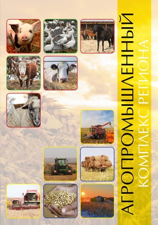 АГРОПРОМЫШЛЕННЫЙ
КОМПЛЕКСРЕГИОНА
 