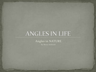 Angles in NATURE By Blaire Stillwell ANGLES IN LIFE 