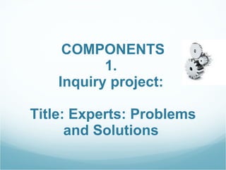 COMPONENTS  1.  Inquiry project:    Title: Experts: Problems and Solutions   