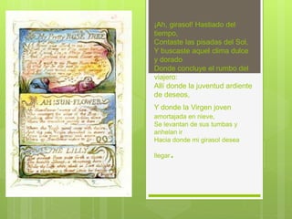 ¡Ah, girasol! Hastiado del
tiempo,
Contaste las pisadas del Sol,
Y buscaste aquel clima dulce
y dorado
Donde concluye el rumbo del
viajero:
Allí donde la juventud ardiente
de deseos,
Y donde la Virgen joven
amortajada en nieve,
Se levantan de sus tumbas y
anhelan ir
Hacia donde mi girasol desea
llegar.
 