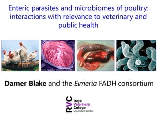Enteric parasites and microbiomes of poultry:
interactions with relevance to veterinary and
public health
David Ferguson, University of Oxford
Damer Blake and the Eimeria FADH consortium
 