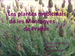 Les plantes medicinals de les Muntanyes  de Prades  Blanca Díaz Estalella 2on BAT A Àngela Martínez 