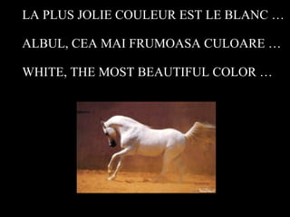 LA PLUS JOLIE COULEUR EST LE BLANC … ALBUL, CEA MAI FRUMOASA CULOARE … WHITE, THE MOST BEAUTIFUL COLOR … 