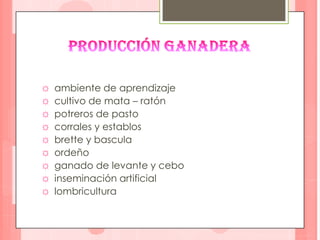 Centro  de atención al sector agropecuario  CASARecorrido